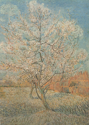 Peach Tree in Blossom (nn040